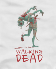 Z2 Walking Z2 Walking